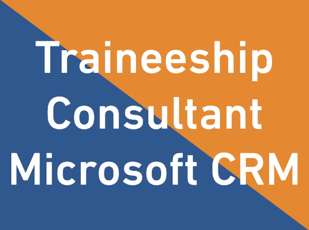Traineeship Consultant Microsoft CRM